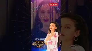 Tamara vina gamtu nathi | Nityaa Jikadara new song status | gujarati song status | HD status