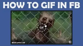 How to post animated GIF on your Facebook Timeline - 2015