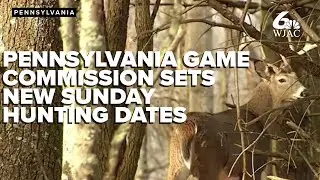 PA Game Commission sets new Sunday hunting dates for upcoming deer season