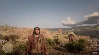 Red Dead Redemption 2  online emotes