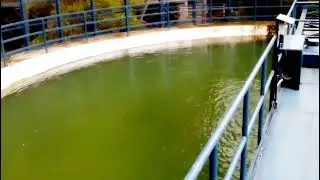 CLARIFIER RAKE MECHANISMS MANUFACTURE IN KERALA.
