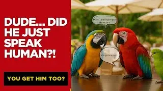 Why Some Parrots Talk and Others Don&rsquo;t | How to Teach Them