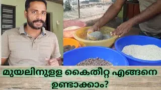 മുയലിൻ്റെ തീറ്റ ഉണ്ടാക്കുന്നത് How to make Rabbit feed?