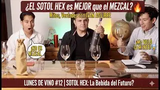 &iquest;SOTOL HEX es MEJOR que el MEZCAL? 🌵🔥 (La verdad con Iv&aacute;n Aguirre) | Lunes de Vino #12