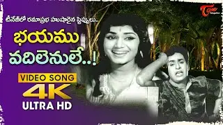Bhayamu Vadilenule Song 4K | Ramaprabha, Chalam superb teenage Video | Adugujadalu |Old Telugu Songs