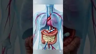 #health #habitsthatchangeyourlife #all all the detail about panadol,calpoland paracetamol group of 💊