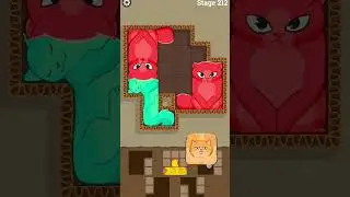cat puzzle 🧩 #minigames #games #catandmousegame #catgame #puzzlefrenzy #catpuzzle #cattoy #gameplay