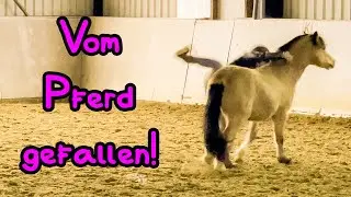 Vom Pferd gefallen 🦄 Bae setzt mich runter 😁