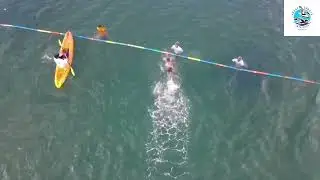 FORT JESUS OPEN SEA SWIMMING GALLA 2024
