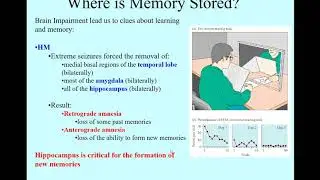 MemoryStorage