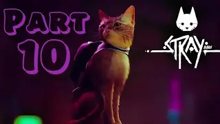 STRAY [Прохождение] || Part 10