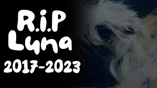 Sleep Well Baby Luna!
