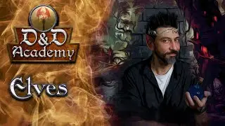 Elves, D&D Academy, #028