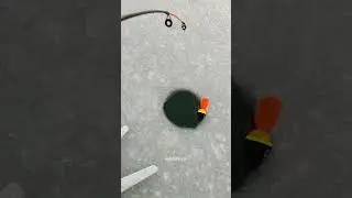 ice fishing for pike, best time in winter ❄️🥶#icefishing #eisangeln #pike #hecht #fishing