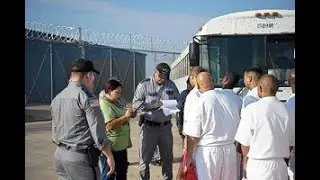 The Blue Bird - That Very First Ride #prisonstory #prisonstories #tdcj #prisonchannel #TimSno