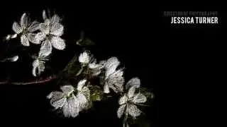 Experiments Combined - Subtle Particle Alpha Footage (stock footage)