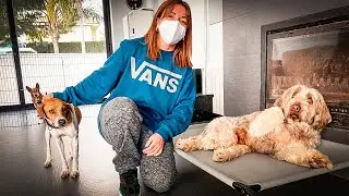 Our dogs have a surprise visit at the shelter!