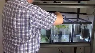 Guppy Unboxing