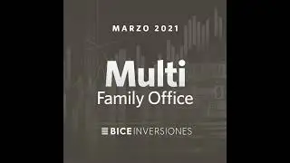 &iquest;Qu&eacute; es Multi Family Office?