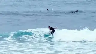 Little Marley soft top 5&rsquo;2&rdquo;