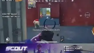 Best clutches of scout