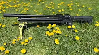 Basic Breakdown Of An American Air Arms Evol Airgun