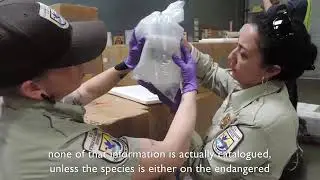 USAID Wildlife Crime Tech Challenge Grand Prize Winner: Andrew Rhyne Nature Intelligence System.