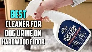 Best Cleaner for Dog Urine on Hardwood Floor in 2026 - Top 5 Review and Buying Guide
