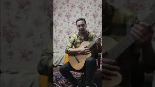 Alhambra Z-Nature CT Guitar overview