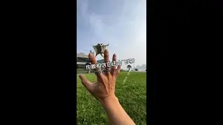 Flying Pets #Sugar Glider And Flying Squirrels #Cute Pets' Mysterious Behaviors #Loop Throw Training