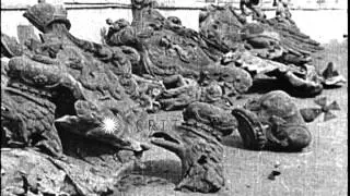 Double eagle emblems of the Romanoff dynasty destroyed by revolutionaries, during...HD Stock Footage