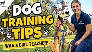 How to train your puppy | Dogs tips and tricks | Animals Goofy