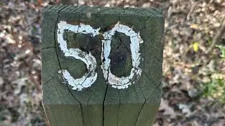 Turning 50: Walking Into New Adventures In Life & Nature!