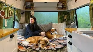 On the road again...2 years, 2 vans & 2 dogs later