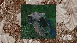 en polvo nos convertimos - sskor (UsoLibre)