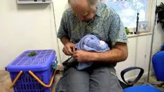 Бинт для ухода за птицами Галах Перси с зажатой лапой №4 060810