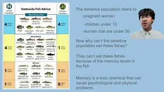 Why Certain Fish Can Be Toxic to Humans?