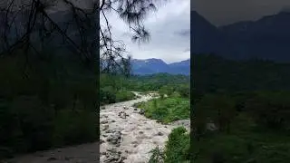 Kangra Valley After Heavy Rain😍 #shortsvideo #shortsfeed #shorts #kangra