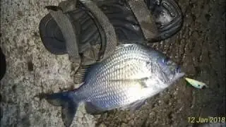 Mancing casting ikan patik, angler Putra Bumen