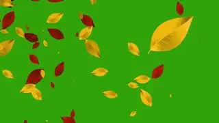 falling leaf green screen , falling leaves video overlay free download