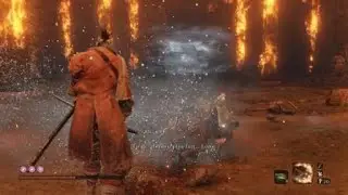 Troph&eacute;e la dame papillon fant&ocirc;me sekiro