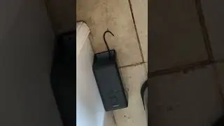 Rats vs Electrical Traps! And The Winner Is-You!  #shorts #short