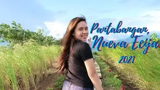 MALIPAYON CABIN in Farmridge(Requirements, Expenses,Room Tour)