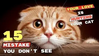 15 &ldquo;Loving&rdquo; Mistakes That Are Silently Destroying Your Cat&rsquo;s Life