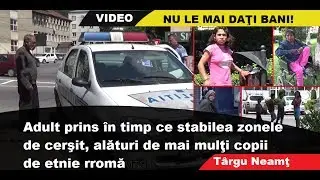 cersetori tg neamt