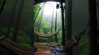Rainforest Retreat #rainforest #forestcabin