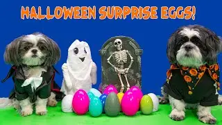 Assistant Halloween Party Surprise Eggs with Wiggles and Waggles