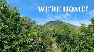 10 DAY QUARANTINE IN STATIA | WE'RE HOME!