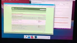 KDE bug: Panel Automatic Sizing