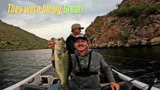 We slayed them on this Desert Lake!